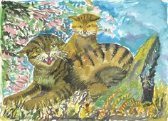 «Дикие кошки», автор Елена Спрыгина, 8 лет (Аппарат управления)