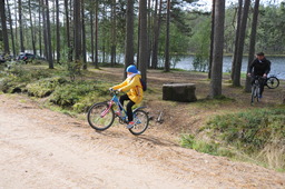 Велопробег проходил по лесным дорогам Ленинградской области