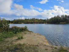 Маршрут «Лазурные воды» в заказнике «Север Мшинского болота»