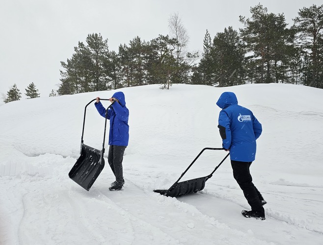 Волонтеры строят логовища — снежные насыпи для жилища нерп