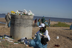 Начало уборки прибрежной территории Финского залива