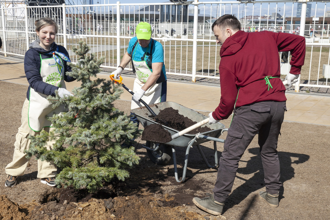 Участники экологической акции «Зеленая Весна-2023» высадили около 320 деревьев и кустарников