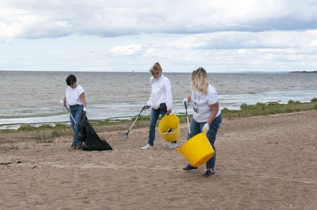 Сбор мусора на береговой линии Финского залива