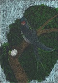 «Черная птица», автор Евгения Палилова, 12 лет (Валдайское ЛПУМГ)